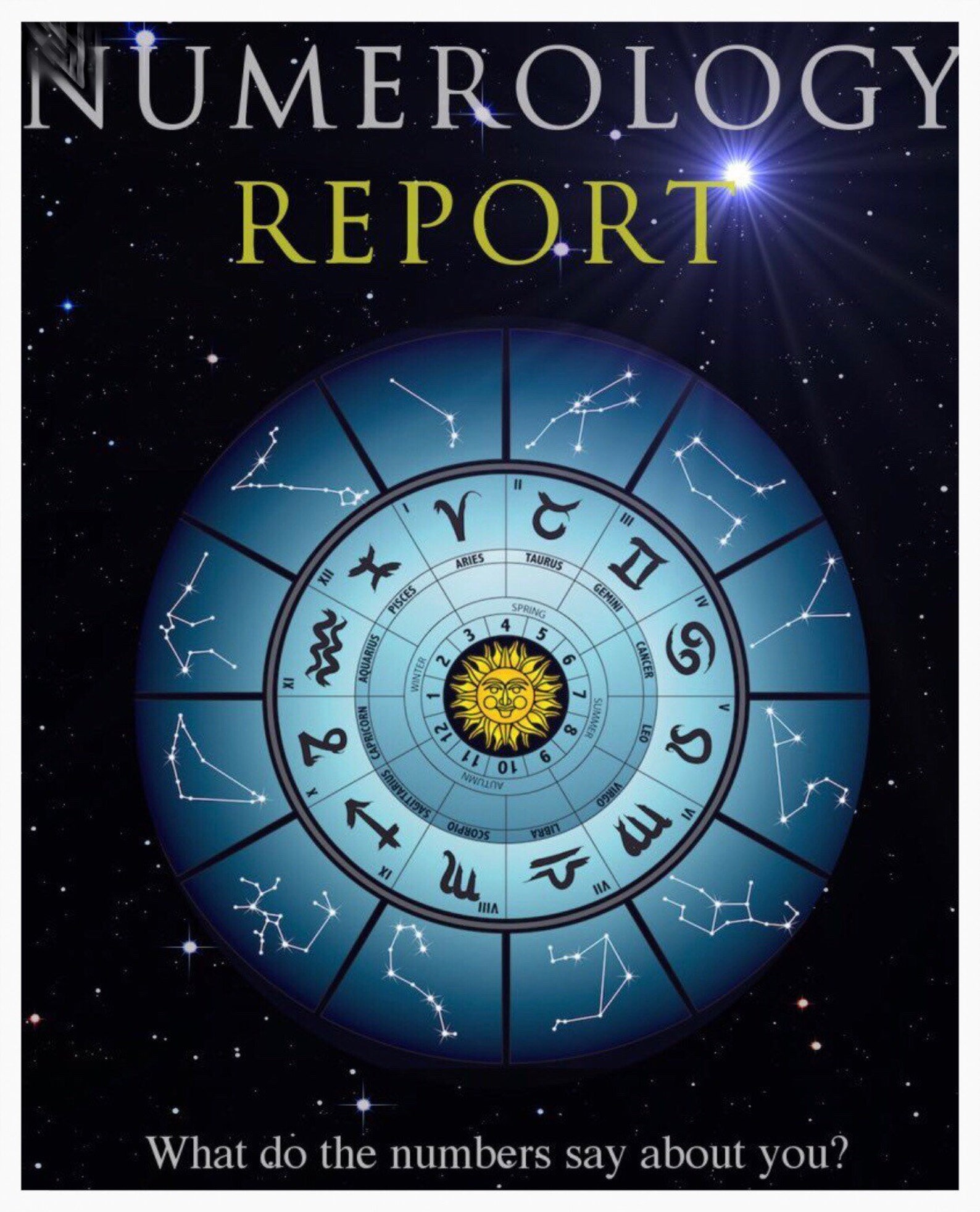 Report Book